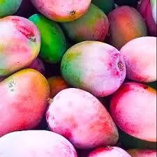 SUBARNA REKHA MANGO