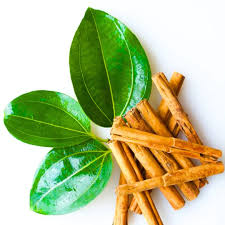 CINNAMON OR DARUCHINI
